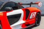 McLaren Senna 2019 года